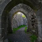 Burgruine Hauneck Stoppelsberg