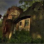 Burgruine Haus Empel