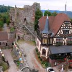 Burgruine Haut Barr im Elsass