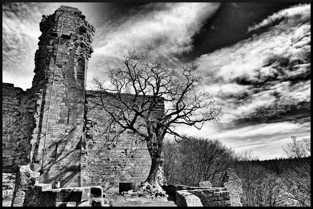 Burgruine Hohenecken