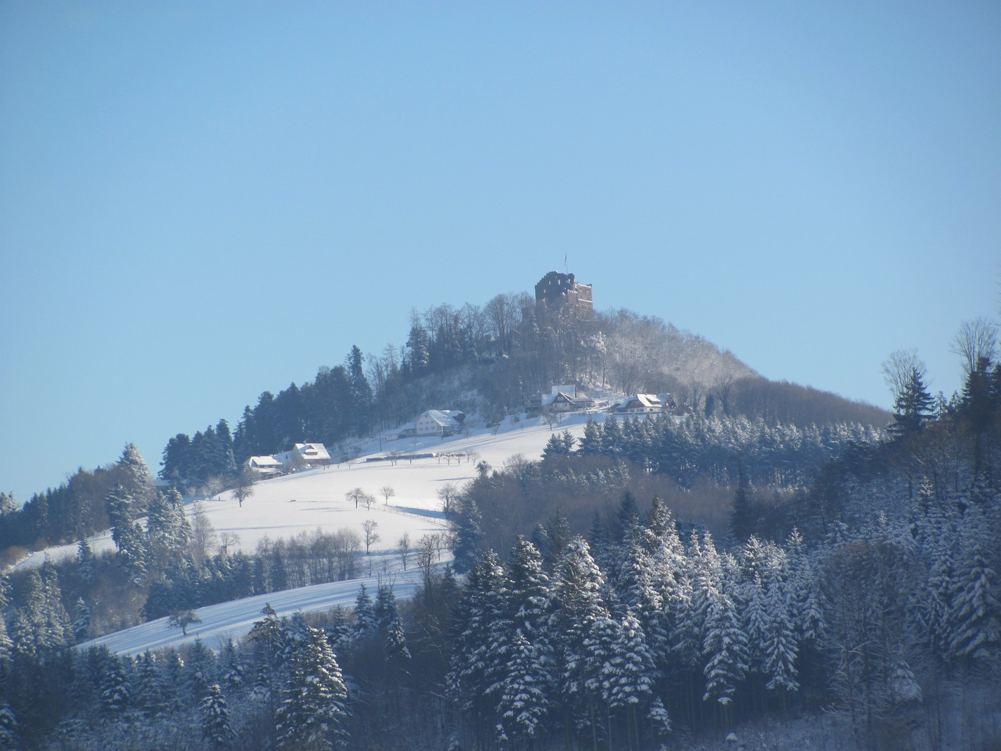 Burgruine Hohengeroldseck