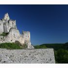 Burgruine Hohenneufen