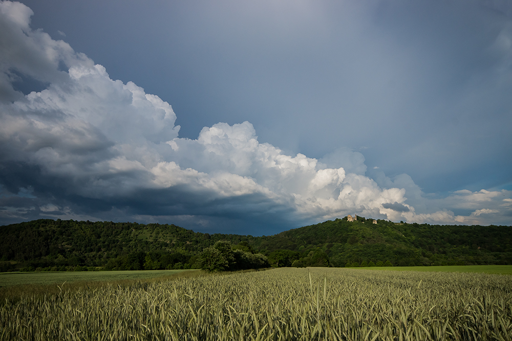 Burgruine Homburg