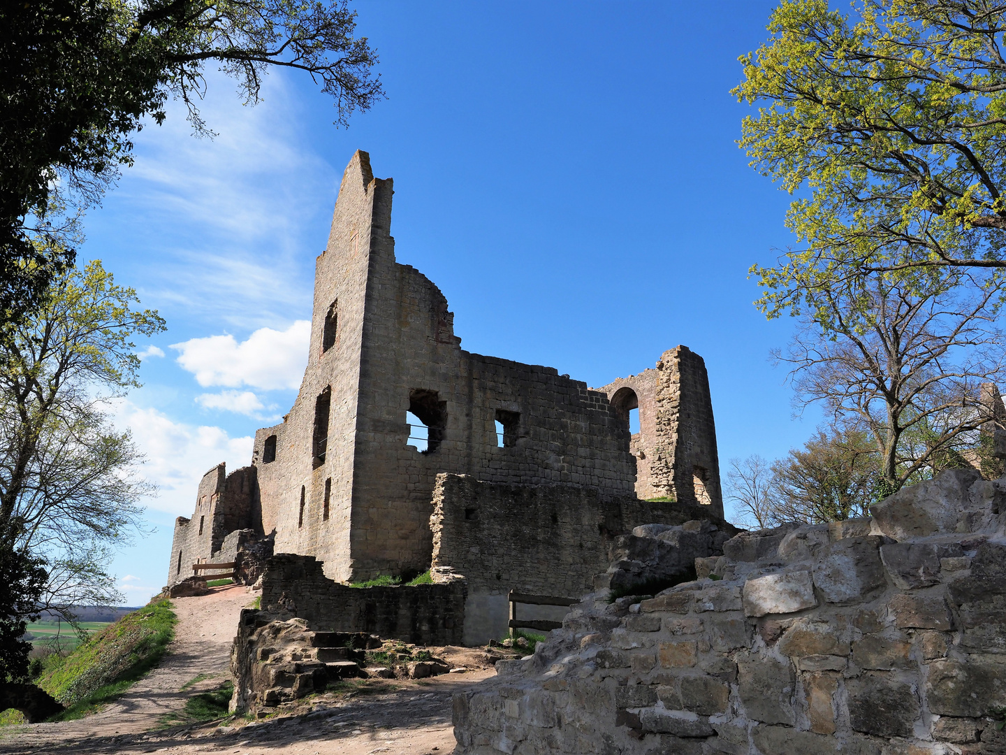 Burgruine Homburg