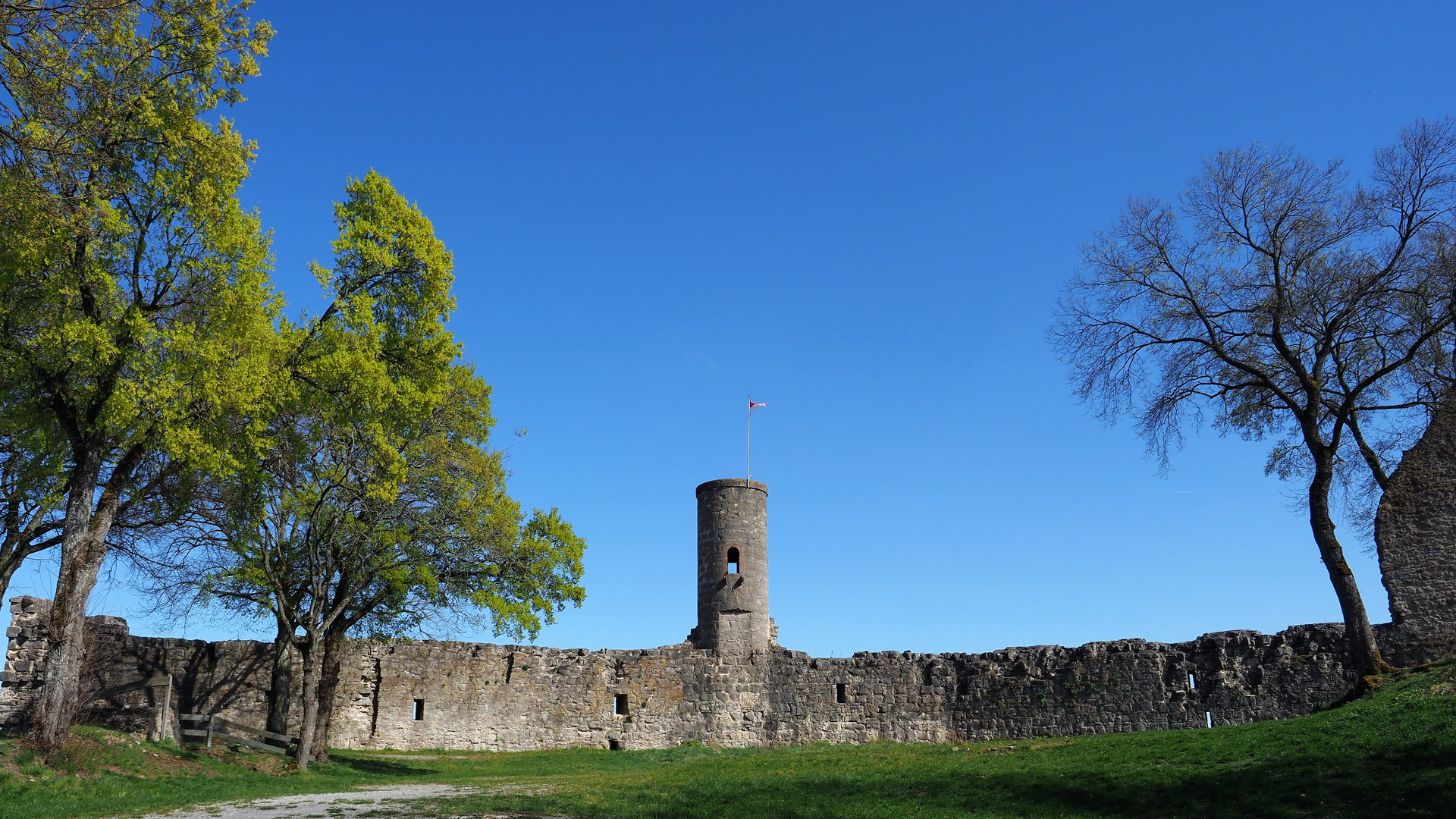 Burgruine Homburg