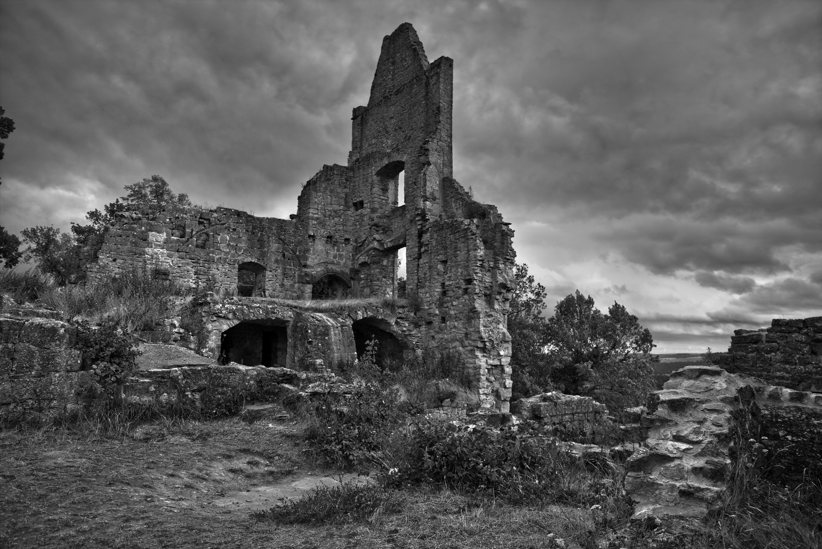 Burgruine Homburg in der Abendsonne 4 monochrome