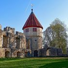 Burgruine Honberg in Tuttlingen