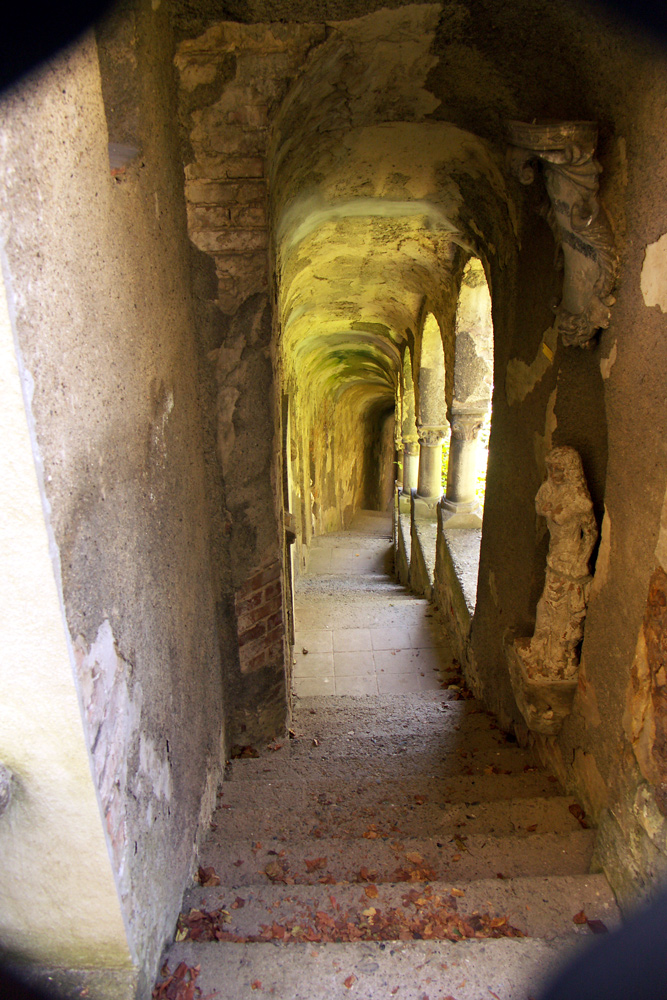 Burgruine im Harz