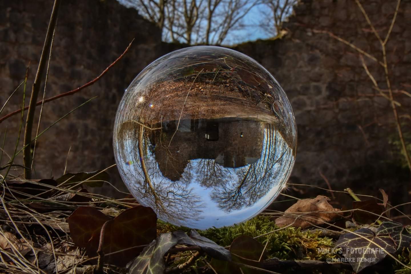 Burgruine im Lensball