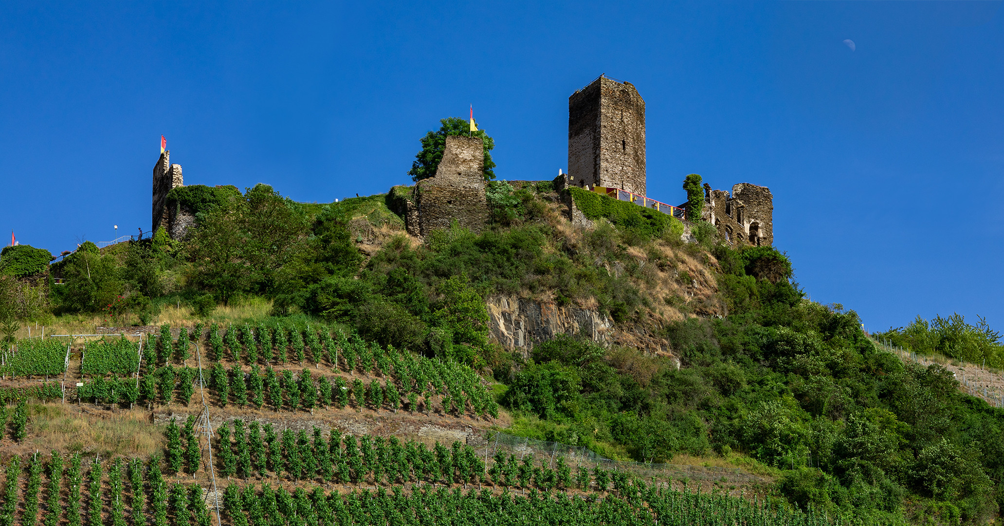 Burgruine im Moseltal 001