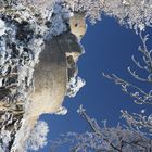 Burgruine im Winter