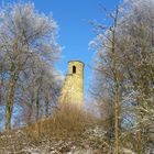 Burgruine im Wintermärchen