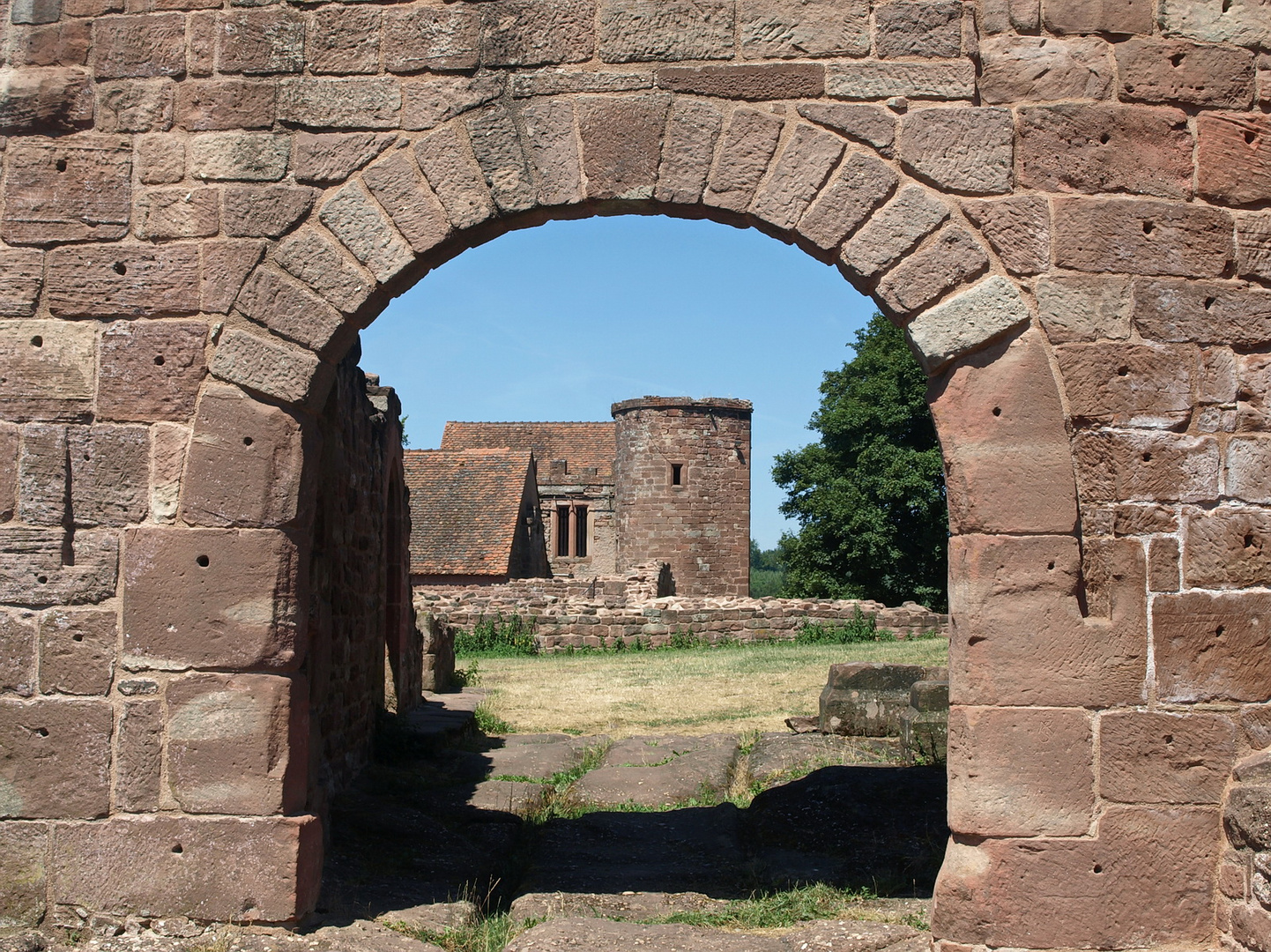 Burgruine in den Vogesen