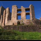 Burgruine in der Pfalz 2