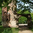 Burgruine in Freyenstein (Ostprignitz Ruppin) 2