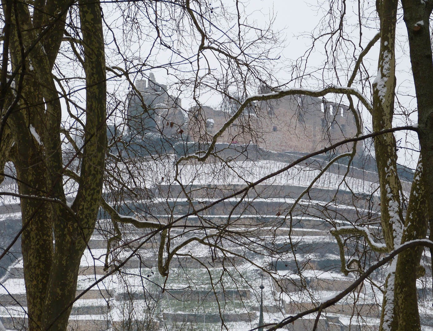 Burgruine in Staufen