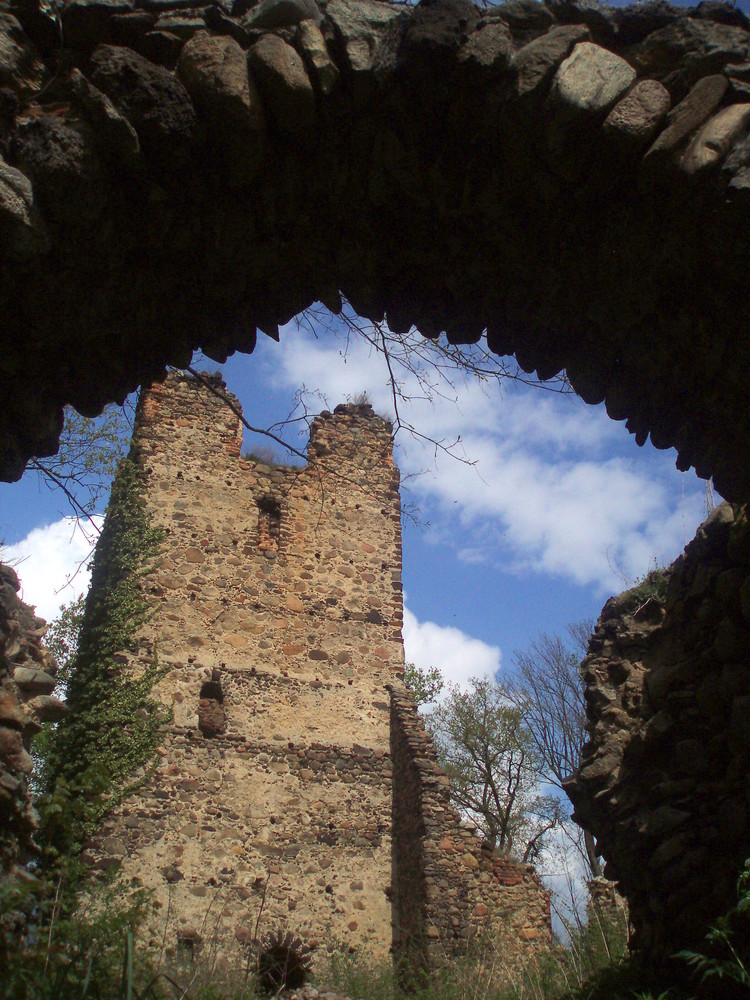 Burgruine in Straszow / Polen