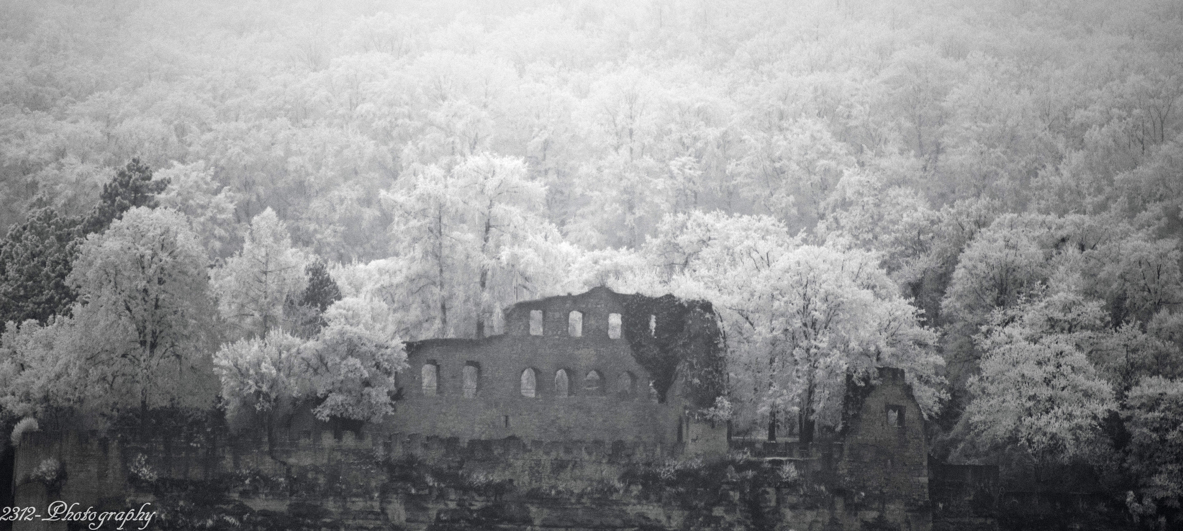 Burgruine Karlsburg im Nebel, Reif und Schnee