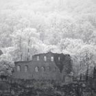 Burgruine Karlsburg im Nebel, Reif und Schnee