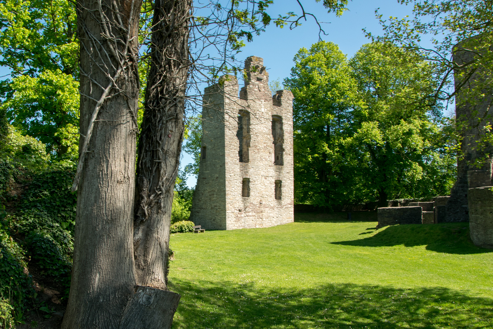 Burgruine Krukenburg