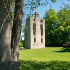 Burgruine Krukenburg