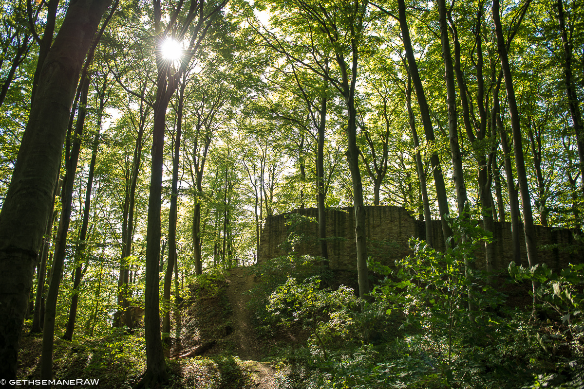 Burgruine Landeck