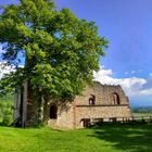 Burgruine Landeck1