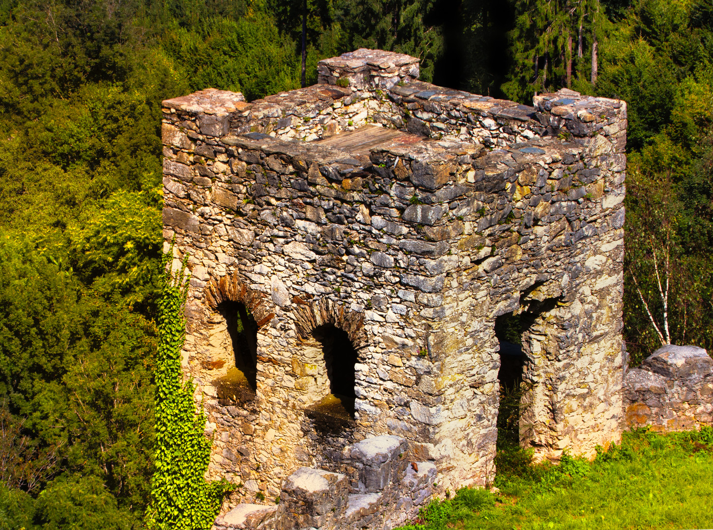 Burgruine Landskron Detail