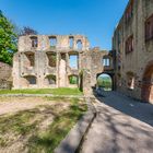 Burgruine Landskron-Oppenheim 49