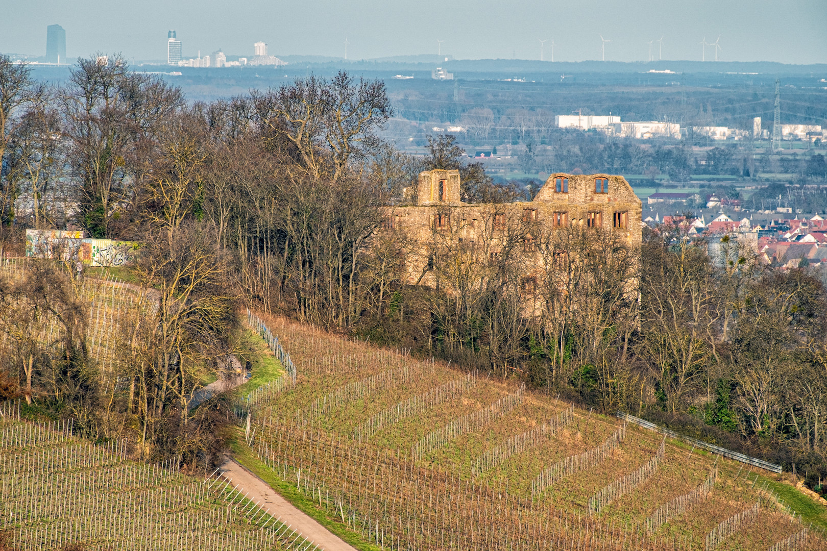 Burgruine Landskrone