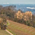 Burgruine Landskrone