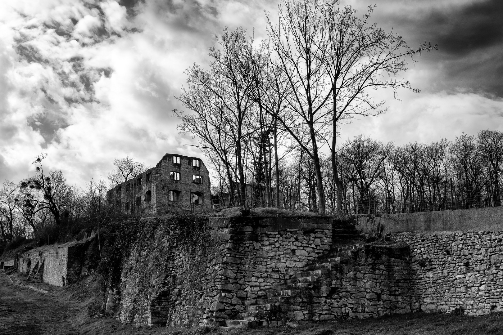 Burgruine Landskrone Oppenheim