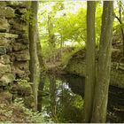 Burgruine Leonrod - geraden Weges zum Tor