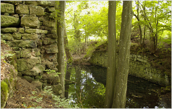 Burgruine Leonrod - geraden Weges zum Tor