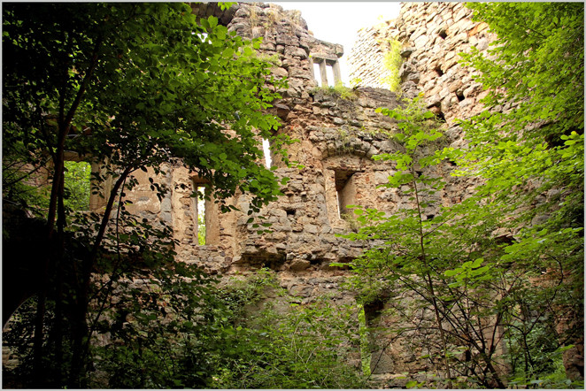 Burgruine Leonrod - in den Räumen 2