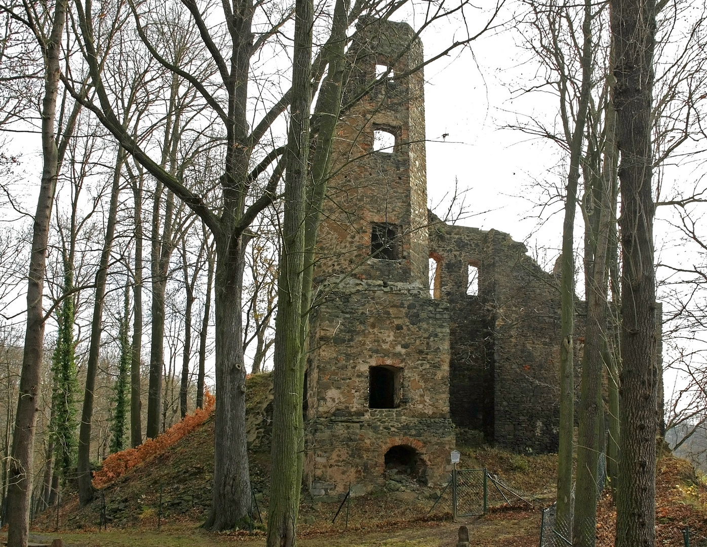 Burgruine Liebau (bei Jocketa)