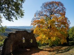 Burgruine Liebenstein