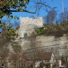 Burgruine Löffelstelz in Mühlacker - 01 (25.03.2012)