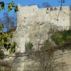 Burgruine Löffelstelz in Mühlacker - 02 (25.03.2012)