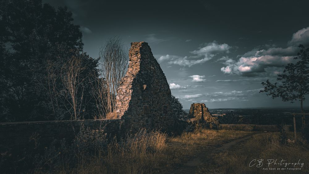 Burgruine Löwenburg