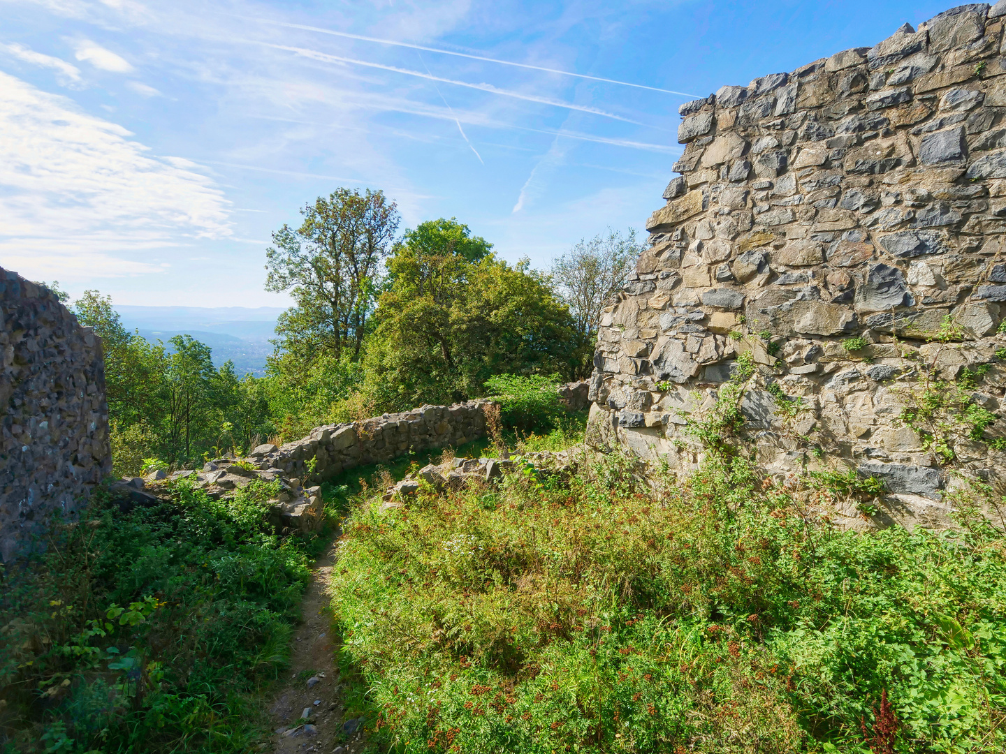 Burgruine Löwenburg 7