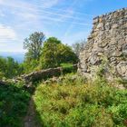 Burgruine Löwenburg 7