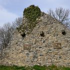 Burgruine Löwenburg im Siebengebirge 2