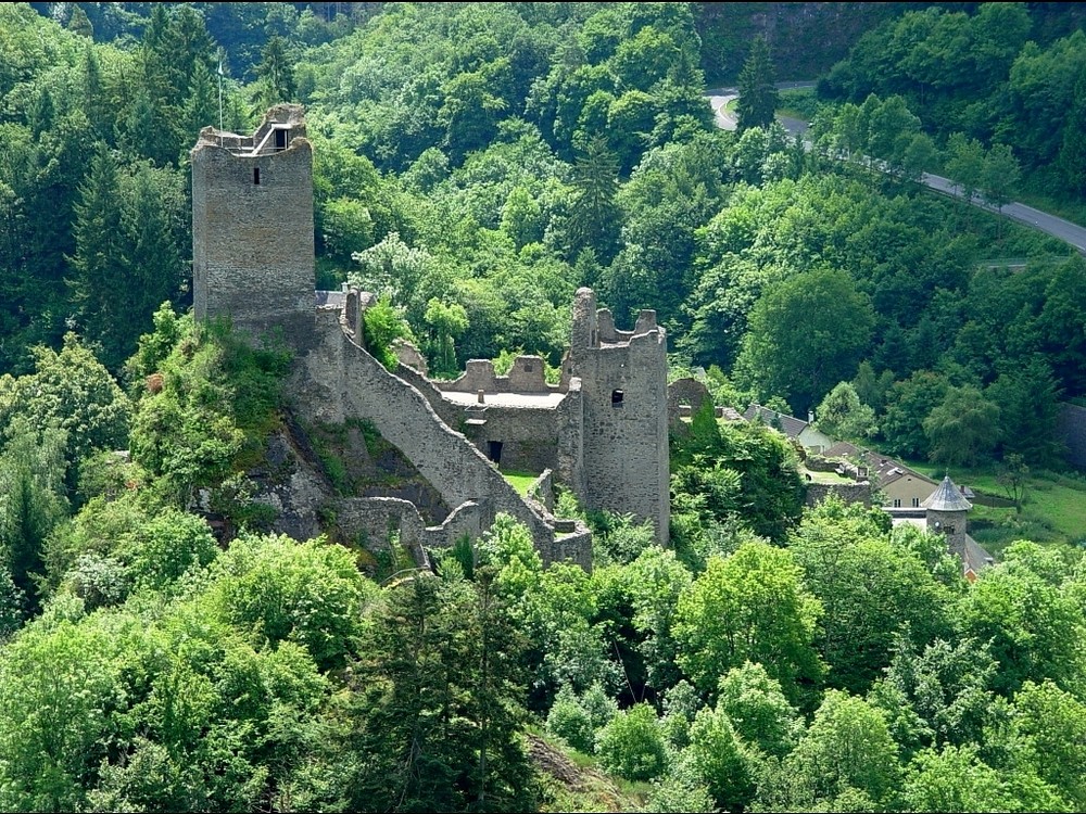 Burgruine Manderscheid 2