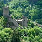 Burgruine Manderscheid 2