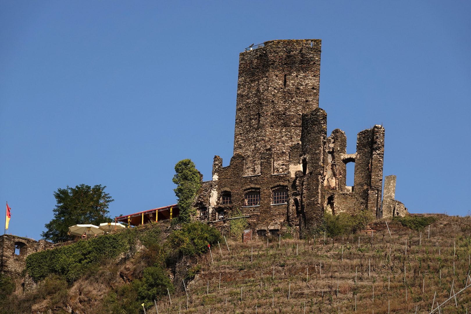 Burgruine Metternich