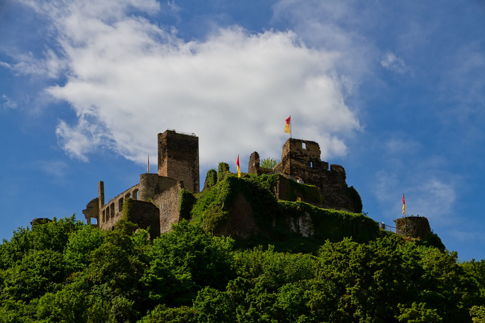 Burgruine Metternich