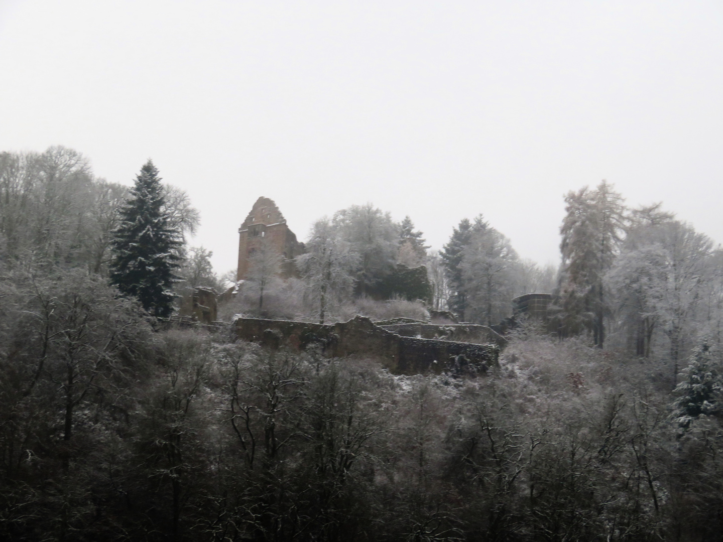 Burgruine Minneburg bei Neckargerach im Neckartal