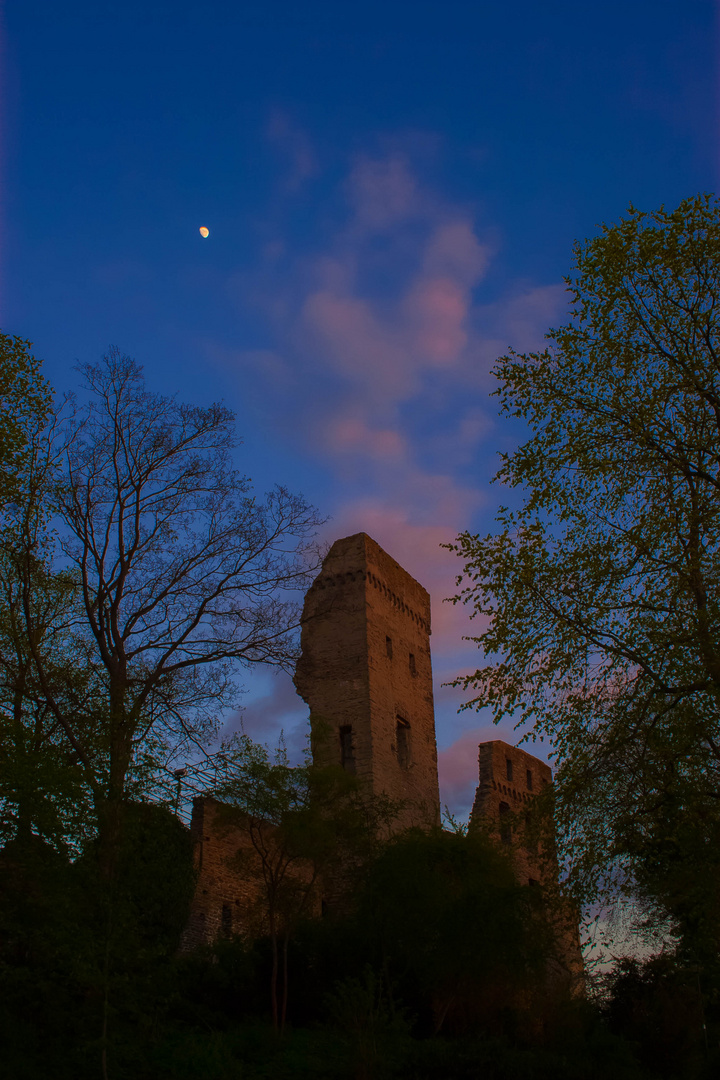 Burgruine mit dem Rest eines Turmes