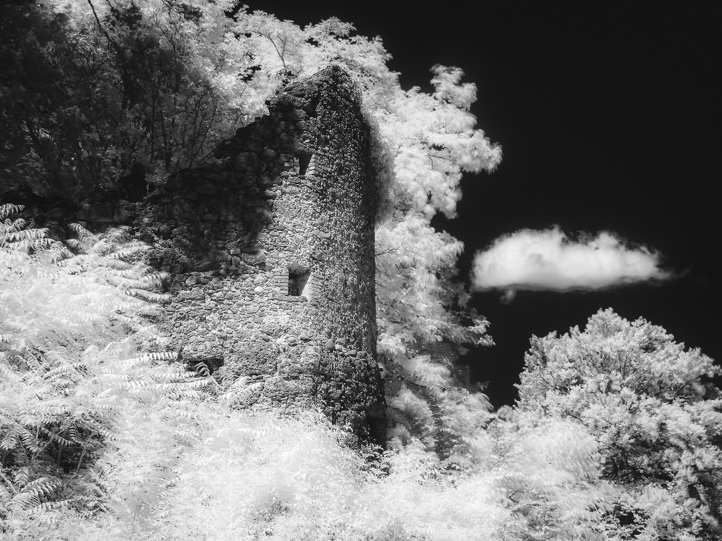 Burgruine mit Wolke